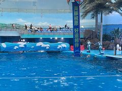 -海合安成都极地海洋公园
