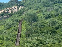 -大岭沟猕猴桃谷风景区