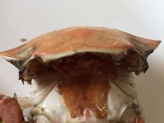 -港畔赶海蒸汽海鲜烧烤自助(仙螺岛店)