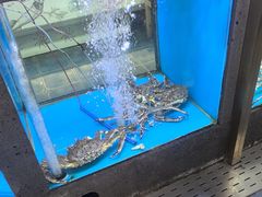 -鲜味食族水产·海鲜餐厅