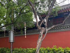 -大雁塔文化休闲景区-北广场