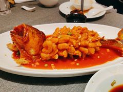 -新吉士·上海菜(浦东LCM置汇旭辉店)