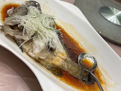 老虎斑-海景壹号大酒店(惠钱路店)