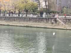 -成都市活水公园