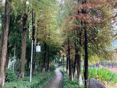 -八卦田遗址公园