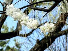 -唐城墙遗址公园