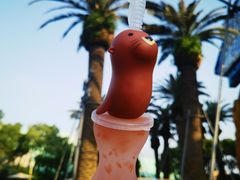 -上海海昌海洋公园