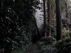 -巴金故居