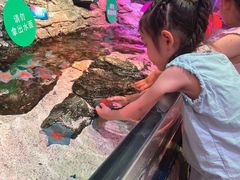 -沈阳海洋探索中心