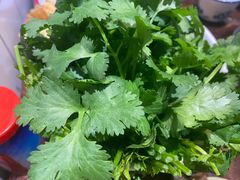 香菜-胡须佬鸡煲四季火锅(海雅缤纷城店)
