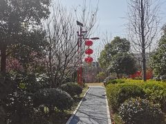-金御沐足·影院式足道(新城店)