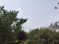 -绿岛公园(滨海新区)