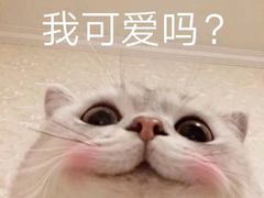 -茂业百货(东门店)
