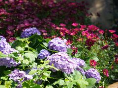 -人民公园(罗湖区)