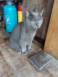 -青木造型HAIR·あおき髪を刈る潮人店