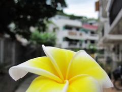 -南丫岛