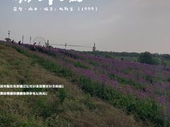 -花博汇(知音花月夜)