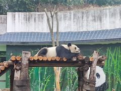 -南昌动物园