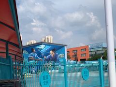 -海合安武汉极地海洋公园