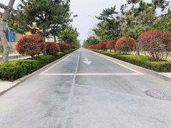 -王记西鎮电烤肉(汶上路店)