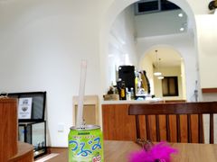 -有猫主题·治愈系猫咖(曾厝垵店)