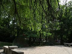 -合肥野生动物园