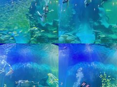 -龙谷湾旅游休闲度假区