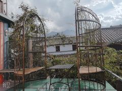 -喵屿·大理花园猫咖