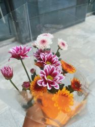 -净漪造型 PURE RIPPLE