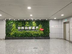 -张家界荷花国际机场