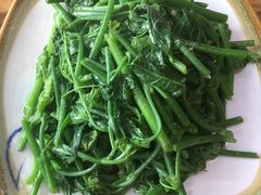 清炒佛手瓜尖-妈妈的味道(和顺古镇店)