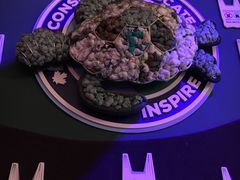 -瑞普利水族馆
