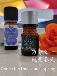 -CAMENAE嘉媚乐