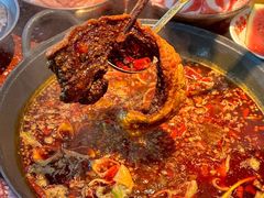 -赵美丽·重庆社区火锅·直营店(火车东站·中豪国际店)