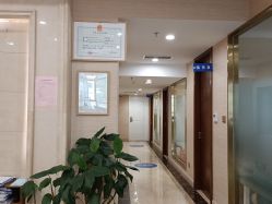 -碧莲盛·不剃发植发