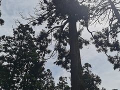 -东天目山风景区