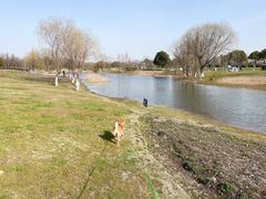 -贡湖湾湿地公园