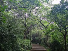 -广州市白云山风景名胜区
