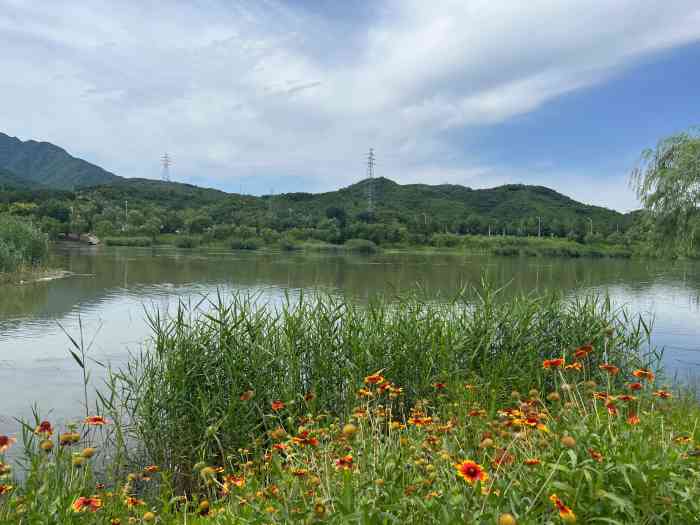 三家店蒲草湿地公园-"大概是这里吧,按导航找过来的 去完香山.
