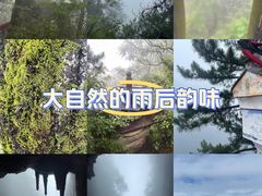 -塔云山