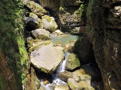 -鹿院坪生态旅游景区