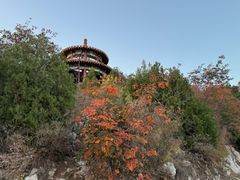 -府君山公园