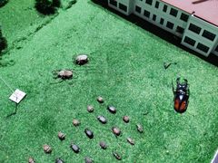 -南宫五洲植物乐园