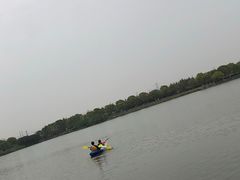 -上海都市菜园