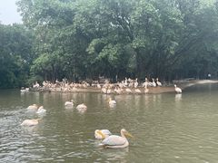 -广州长隆飞鸟乐园