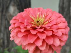 -何适山庄 ·可团建(水长城P2停车场店)