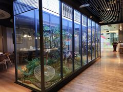 -拈菜(观音桥阳光世纪店)