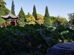 -晋祠公园
