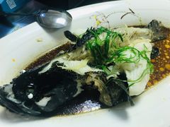 清蒸青斑鱼-鑫悦楼煎蟹·16年海鲜大排档