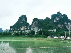 -明仕田园